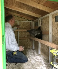 Cozy Products CL Cozy Safe Chicken Coop Heater 200 Watts Safer Than Brooder Lamps, One Size, Black 35 B10m63WKzS