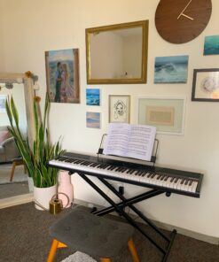 Alesis Recital – 88 Key Digital Piano Keyboard with Semi Weighted Keys, 2x20W Speakers, 5 Voices, Split, Layer and Lesson Mode, FX and Piano Lessons Piano Only 43 B10tfLeBhXS