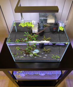 ONF Flat Nano Full Spectrum LED Aquarium Light, Dimmable 7000K / 1300lm, for <10 Gallons Rimless Fish Tanks, Freshwater Aquatic Plant Growth, Terrarium Spotlight, Potted Plant IP54 Waterproof (Silver) Silver 46 B11bziziIgS