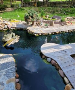 MICROBE-LIFT MLXSAG6 Sludge-Away Pond and Outdoor Water Garden Sludge and Muck Remover, Safe for Live Koi Fish, Plant Life, and Decor, 1 Gallon 29 B12ALurd7S