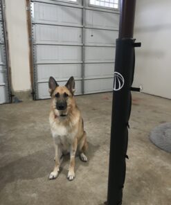 Lifetime 0602 Light Duty Basketball Pole Pad for 3.5" Round Pole 22 B12HbYt1uxS