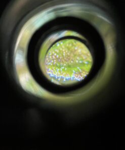 Grow Room Microscope - 60x Handheld Mini Pocket LED Loupe Magnifier - Blue or White Light - 31 B12JIlLQ84S