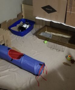 Pureness Giant Cat Litter Pan, Assorted Colors 31 B148mdu8wS