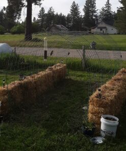 BLACK+DECKER 20V MAX Cordless String Trimmer, 2 in 1 Trimmer and Edger, 12 Inch, Battery Included (LST300) 20V String Trimmer Kit 27 B1493K8KaGS