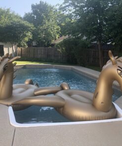 Luxy Float Inflatable Pool Float, Large Water Pool Toys for Adults and Family, Swimming Pool Floats for Party Fun Dragon 32 B14Ady55GTS