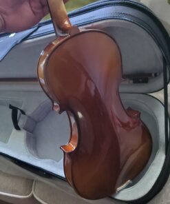 SKY 4/4 Full Size SKYVN201 Solid Maple Wood Violin with High Quality Lightweight Case, Brazilwood Bow, String, Rosin and Mute 42 B14DeKS9bHS