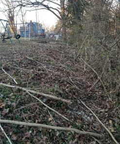 8" x 80T 8-Inch 80 Tooth Carbide Tip Circular Saw Brush Cutter Trimmer Weed Eater Blade (2 Pack) 42 B14Ez7zpywS