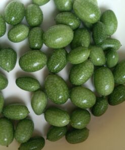 Seed Needs, Cucamelon Seeds - 65 Heirloom Seeds for Planting Melothria scobra - Mexican Sour Gherkin Non-GMO & Untreated, Boasts a Light Citrus Flavor, (2 Packs) 2 Packs (130 Seeds) 52 B15Q4YowCkS