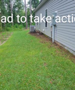 Scotts Turf Builder Lawn Food - Fertilizer for All Grass Types, 5,000 sq. ft., 12.5 lbs. 5,000 sq. ft. 38 B15X8NPtRBS