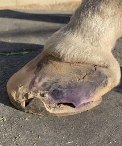 Alternative view of Keratex KHH 250 Hoof Hardener, 250ml