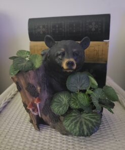 Black Bear Glass Salt and Pepper Shaker Set Sculpture Kitchen Decor in Rustic Lodge and Cabin Figurines by Home-n-Gifts 13 B165vE7V6NS