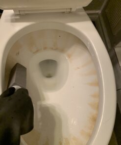 PUMIE Toilet Bowl Ring Remover, TBR-6, Grey Pumice Stone with Handle, Removes Unsightly Stains from Toilets, Sinks, Tubs, Showers, Pools, Safe for Porcelain, 1 Pack 1 Count (Pack of 1) 61 B16INTFJWWS