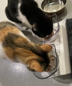 Purina Fancy Feast Grilled - (24) 3 oz. Cans Chicken 3.00 Ounce (Pack of 24) 19 B16pOSHHg4S