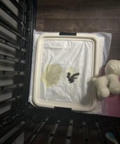 IRIS USA Small Pet Training Pad Holder, Dark Gray 17"x17" 59 B170ZFNfEkS