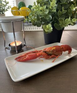 PrepWorks by Progressive 5-Ounce Ceramic Butter Warmer Home Fondue Set with Stands, Candles, and Cups, White 23 B18WYmHROgS