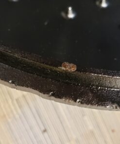 Lodge L8DOLKPLT Cast Iron Dutch Oven with Dual Handles, Pre-Seasoned, 5-Quart,Black 5 Quart 41 B18jYPsl9BS