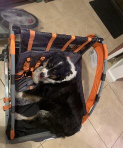 Instep Quick-N-EZ Double Tow Behind Bike Trailer for Toddlers, Kids, Converts to Stroller, Jogger, 2-in-1 Canopy, Universal Bicycle Coupler, Folding Frame, Multiple Colors Orange 31 B19ZWgiYPWS