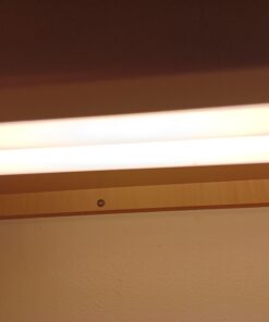 Bluex Bulbs 4 Pack F14T5/830 14W 22 Inch T5 Fluorescent Tube Light Bulb 3000K Warm White Mini Bi-Pin (G5) Base Straight Tube Light Bulb 5 B19jnAV2eiS