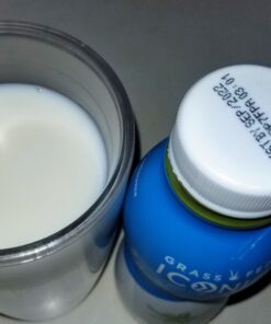 Iconic Protein Drinks, Vanilla Bean (12 Pack) - Sugar Free & Low Carb - 20g Grass Fed Protein - Lactose Free, Gluten Free, Non-GMO, Kosher - Keto Friendly Protein Shakes 25 B1A5YtsAGgS