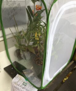 RESTCLOUD Insect and Butterfly Habitat Cage Terrarium Pop-up 24 Inches Tall with 10Pcs 10ML Floral Tubes 60 B1AIeXylxBS