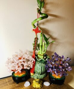 Parma77 Amethyst Crystal Tree, Purple Healing Crystals Gemstones Bonsai Money Tree, Purple Room Decor Cubicle Office Desk Decor for Women, Feng Shui Wealth and Luck Spiritual Gifts for Women 32 B1AYJT6LscS