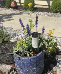 REMIAWY Plant Watering Devices 6 Pack Terracotta Vacation Plant Waterer Wine Bottle Watering Stakes Slow Release Plant Watering Spikes Perfect Self Watering Devices for Indoor Outdoor Plants 37 B1AiuQzyKS