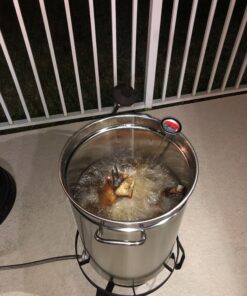 Bayou Classic 1118 32-qt Stainless Steel Turkey Fryer Perfect For Frying Up To 18-lb Turkeys Includes Perforated Poultry Rack and Lift Hook 12-in Stainless Thermometer 1-oz Seasoning Injector 52 B1An4ThmVVS