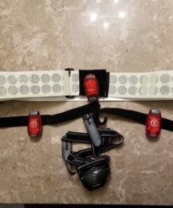 LED Safety Light 2 Pack - Nighttime Visibility for Runners, Cyclists, Walkers, Joggers, Kids, Dogs, Relays & More - Clip to Clothes Strap to Wrist, Ankle, Bike, Collar, or Just About Anywhere! Red 31 B1CF227c5rS