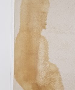 Sashco Quart Clear Roof Sealant,14003 15 B1CKZwVGJyS