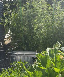 SONKIR Soil pH Meter, MS02 3-in-1 Soil Moisture/Light/pH Tester Gardening Tool Kits for Plant Care, Great for Garden, Lawn, Farm, Indoor & Outdoor Use (Green) 1 Pack 39 B1CPD3m2krS