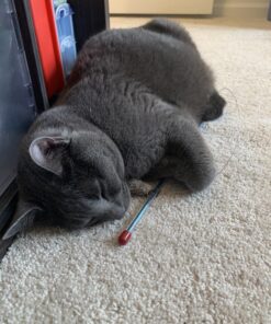 Go Cat Cat Catcher Teaser Wand with Mouse Cat Toy 34 B1CwsjfkGLS