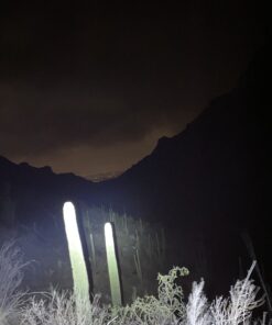 Nilight - 18004C-A LED Light Bar 20Inch 288w Triple Row Flood Spot Combo 28800LM Led Bar Driving Lights Boat Lights Led Off Road Lights for Trucks, 2 Years Warranty 40 B1DuSF0lStS