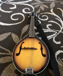 Rogue RM-100A A-Style Mandolin Sunburst Chrome 9 B1E4nekryTS