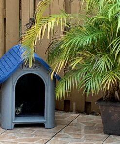 always-quality Indoor Outdoor Dog House Small to Medium Pet All Weather Doghouse Puppy Shelter Blue 23 B1EFILAiGYS