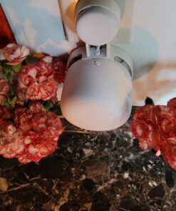Nest WiFi Point Genie: The Simplest Lowest Profile Outlet Holder Mount for Google Nest WiFi Point | Reinforced Support | Great Sound | Open Access | No Messy Screws! (1-Pack) White (1-Pack) 30 B1F3PcWBuJS