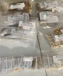 Heirloom Seeds for Planting Vegetables and Fruits - Survival Essentials 135 Variety Seed Vault - Medicinal Herb Seeds - Grow Healthy Non-GMO Food 63 B1FValAqApS