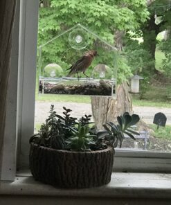 Nature Gear Window Bird Feeder - Refillable Sliding Tray - Weather Proof - Snow and Squirrel Resistant - Drains Rain Water - See Songbirds from Home! (House Style) (House Model) House 42 B1FZYLKVW1S