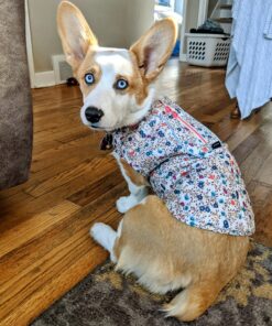 Kurgo Loft Dog Jacket, Reversible Dog Coat, Wear with Harness or Sweater, Water Resistant, Reflective, Winter Coat For Medium Dogs (Deep Violet, M) Deep Violet/Charcoal 37 B1G41HUFfmS