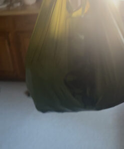 Earth Rated Dog Poop Bags with Handles, New Look, Easy Tie and Guaranteed Leakproof, Lavender Scented, 120 Handle Bags 120 Count (Pack of 1) Lavender-Scented 49 B1GYgpKI6dS