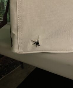 GoSports 90 mm Backyard Bocce Set with 8 Balls, Pallino, Case and Measuring Rope - Made from Premium Resin 41 B1Gpxwgs fS