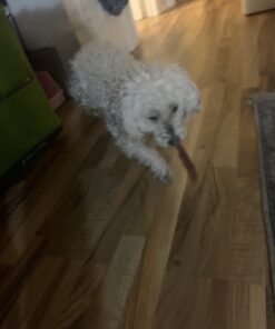 Kingdom Pets Duck Breast Jerky, Premium Treats for Dogs, 40 oz. Bag 39 B1I0 bmiVrS