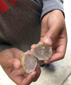 DANCING BEAR 25 Break Your Own Geodes, (Medium 1-1.5") 90% Hollow, Crack Open & Discover Amazing Surprise Crystals Inside! Educational Info and Instructions Included, Fun Party Favors & Prizes Medium (1-1.5") 41 B1INXSstFHS 1