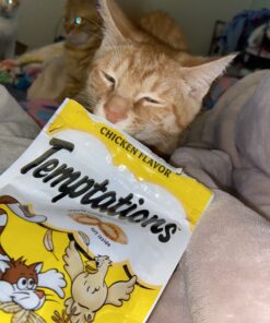 TEMPTATIONS Classic Crunchy and Soft Cat Treats Feline Favorite Variety Pack, 3 oz. Pouches,4 Count 4 Count (Pack of 1) 40 B1J3mB49qOS