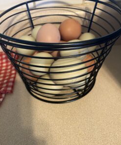 Little Giant® Small Egg Basket | Basket for Carrying and Collecting Chicken Eggs | Wire Egg Basket | Egg Collecting Basket 25 B1J6dX25YjS