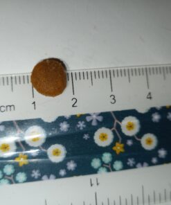 Hill's Science Diet Dry Cat Food, Adult, Sensitive Stomach & Skin, Chicken & Rice Recipe, 3.5 lb. Bag 3.5 Pound (Pack of 1) 33 B1JBRIaTwcS