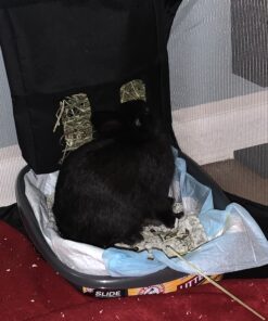 ARM & HAMMER Cat Pan/Litter Box, Small, Pearl Ash Blue 9 B1JlJFT1BcS