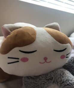 Vintoys Very Soft Cat Big Hugging Pillow Plush Kitten Kitty Stuffed Animals Brown 23.5" 26 B1JrkgtASES