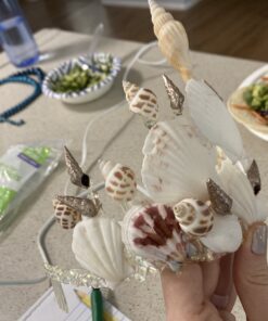 Sea Shells Mixed Beach Seashells - Various Sizes up to 2" Shells -Bag of Approx. 50 Seashells Seashells1 53 B1KCSFqJ8S