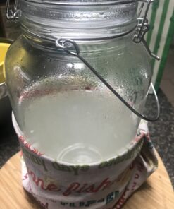 Cultures for Health Kefir Starter Culture | 4 Packets Freeze Dried Starter Powder | Make Kefir with Milk, Water, or Juice | Re-Culture Kefir Probiotic Drinks 2-7x Each | Cultures in Less Than a Day Coconut 0.20 Ounce (Pack of 1) 39 B1KtzHObKxS