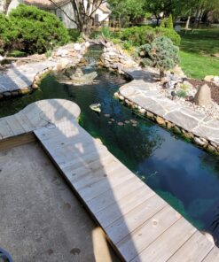 MICROBE-LIFT MLXSAG6 Sludge-Away Pond and Outdoor Water Garden Sludge and Muck Remover, Safe for Live Koi Fish, Plant Life, and Decor, 1 Gallon 31 B1LLz kZsoS